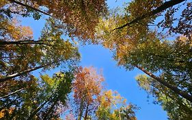 Fewo Am Wald